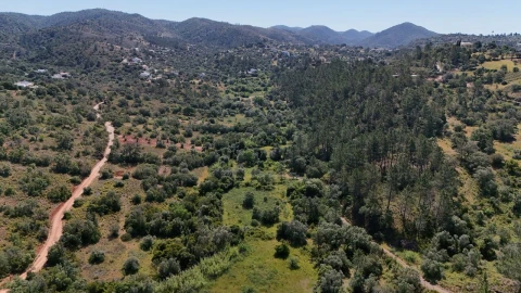 Terreno para Venda em Querença, Tôr e Benafim