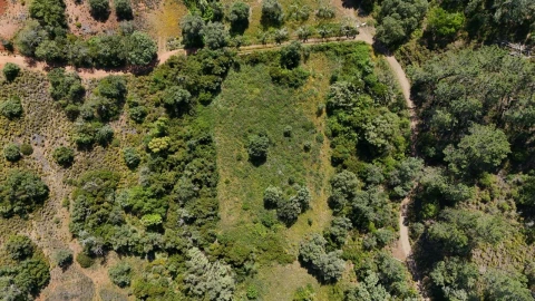 Terreno para Venda em Querença, Tôr e Benafim