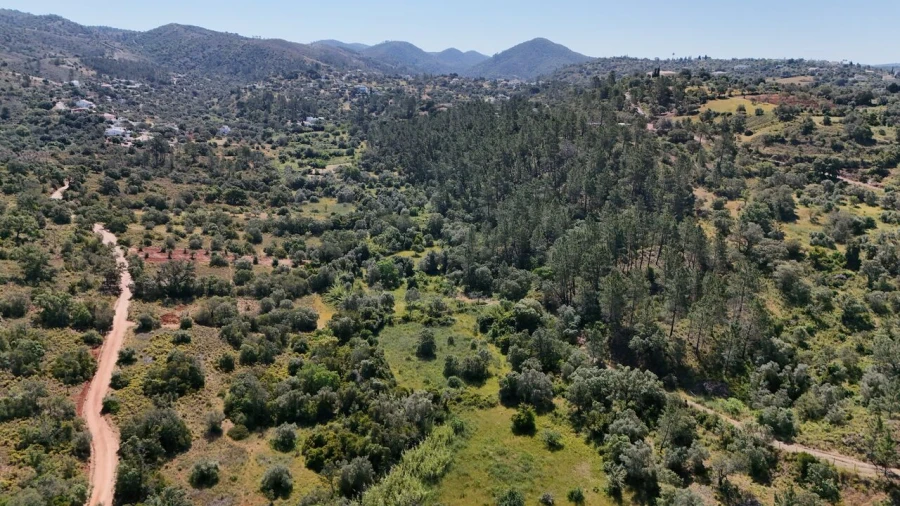 Terreno para Venda em Querença, Tôr e Benafim Foto 10