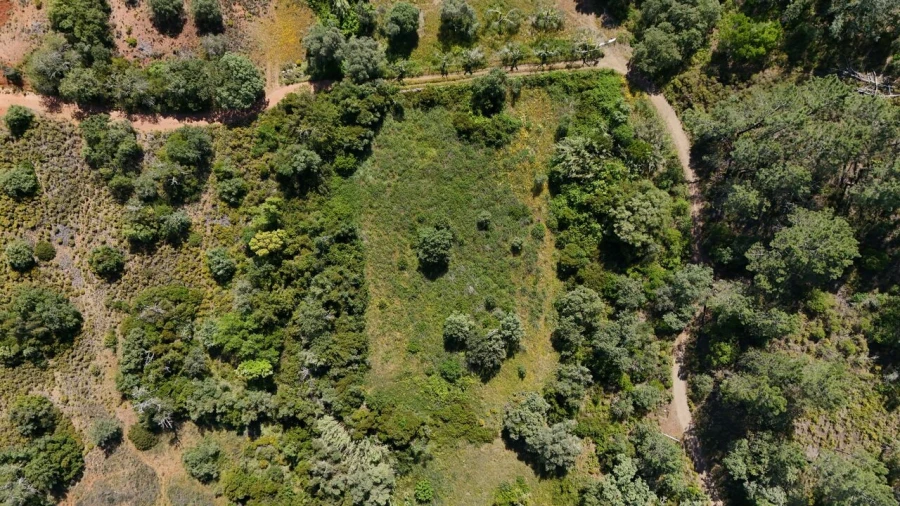 Terreno para Venda em Querença, Tôr e Benafim Foto 2