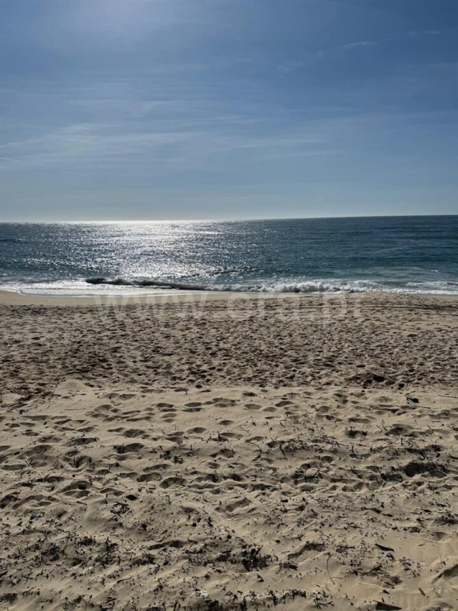 Moradia T3 para Venda em Arvore Foto 12