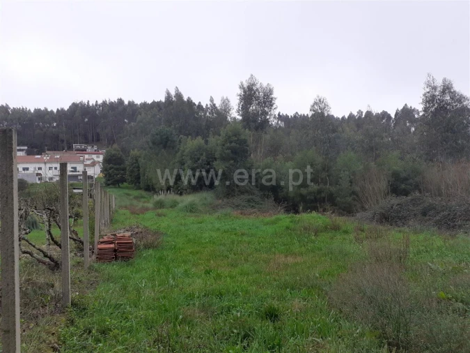 Terreno para Venda em Pedroso e Seixezelo Foto 7