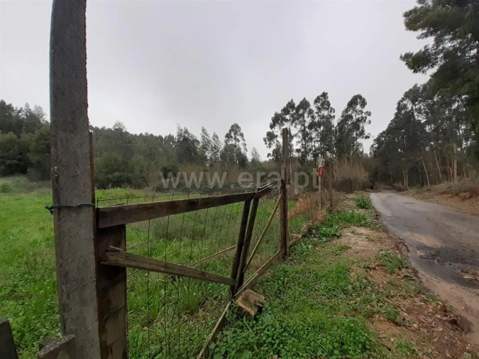 Terreno para Venda em Pedroso e Seixezelo Foto 4