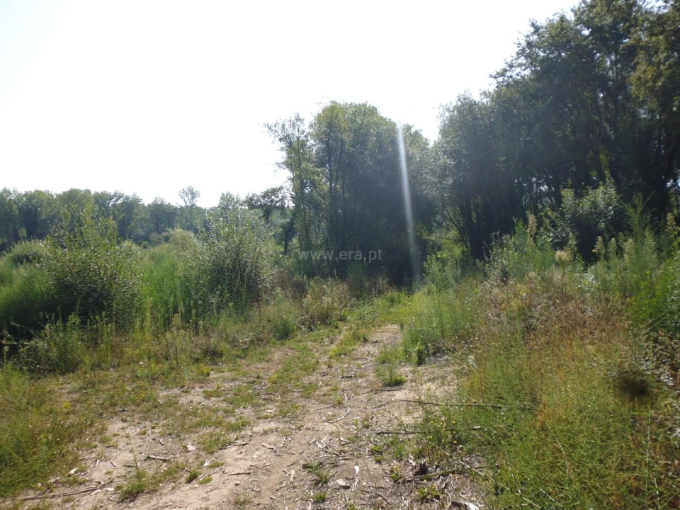 Terreno para Venda em Pedroso e Seixezelo Foto 2