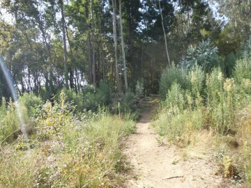 Terreno para Venda em Pedroso e Seixezelo