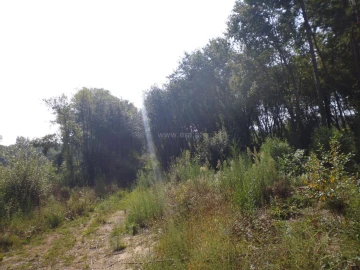 Terreno para Venda em Pedroso e Seixezelo