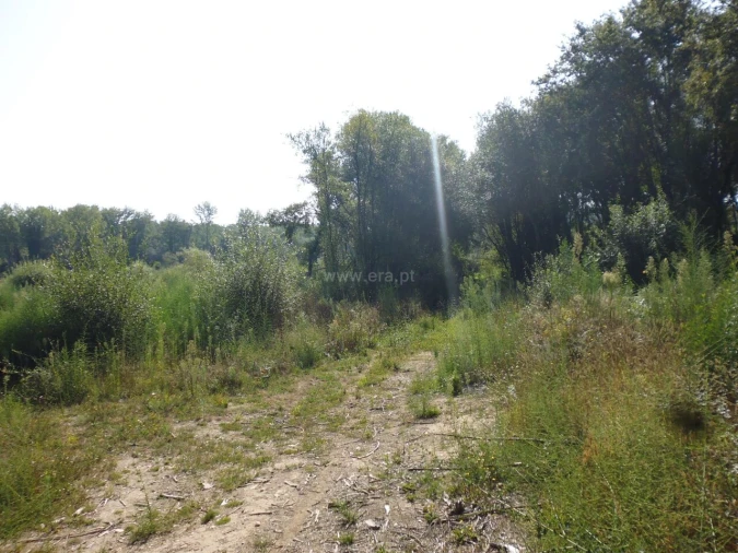 Terreno para Venda em Pedroso e Seixezelo Foto 2