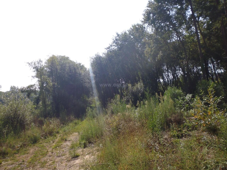 Terreno para Venda em Pedroso e Seixezelo Foto 3
