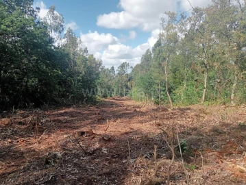 Terreno para Venda em Vilar de Andorinho