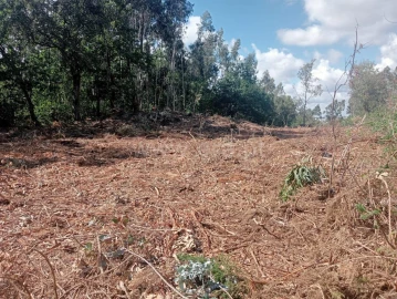Terreno para Venda em Vilar de Andorinho