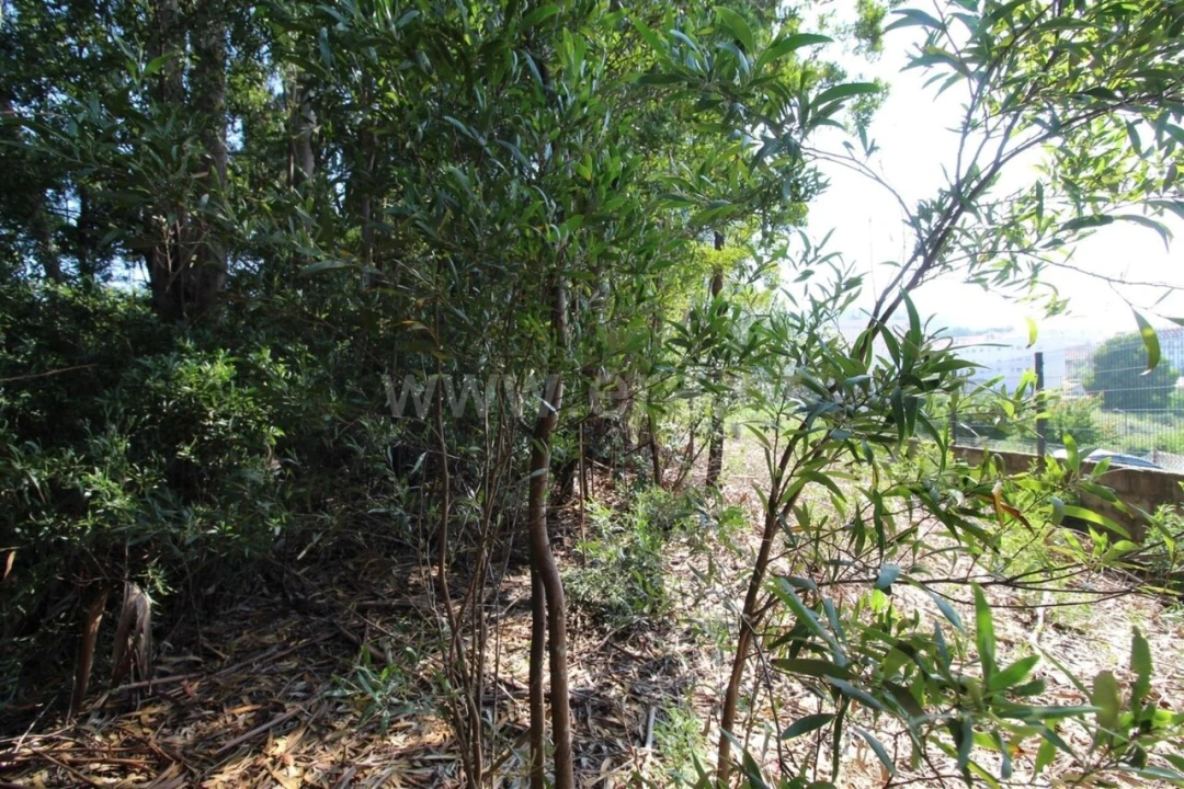 Terreno para Venda em Vilar de Andorinho Foto 8
