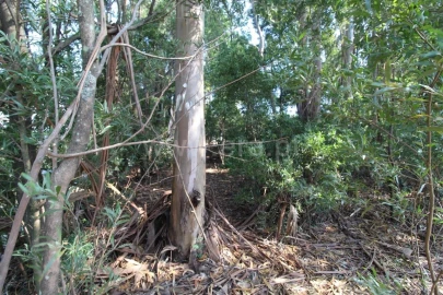 Terreno para Venda em Vilar de Andorinho