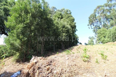 Terreno para Venda em Vilar de Andorinho