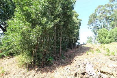 Terreno para Venda em Vilar de Andorinho
