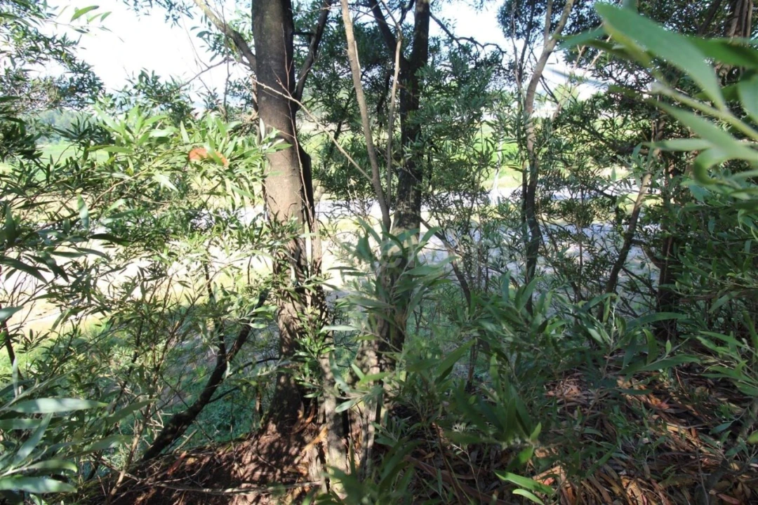 Terreno para Venda em Vilar de Andorinho Foto 5