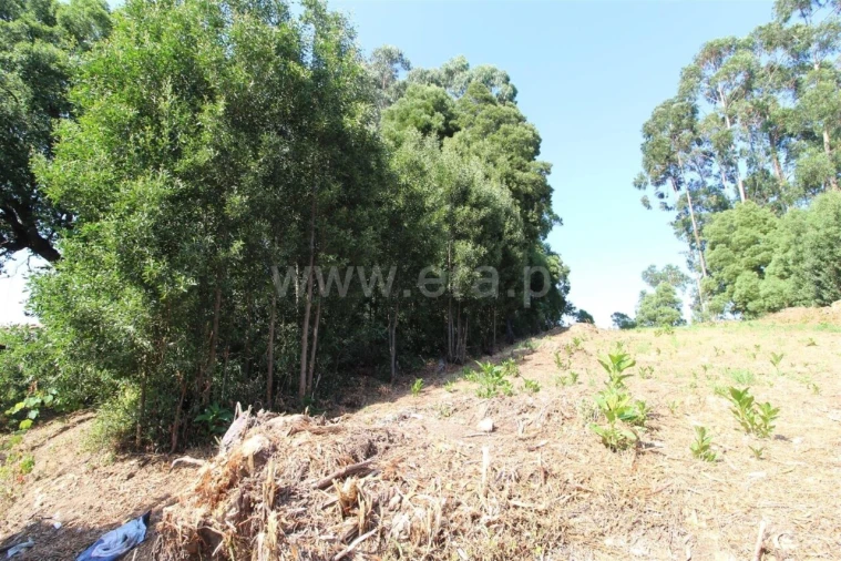 Terreno para Venda em Vilar de Andorinho Foto 7