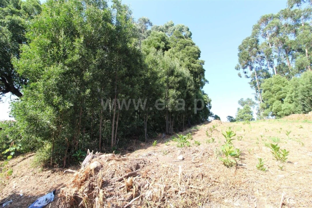 Terreno para Venda em Vilar de Andorinho Foto 7