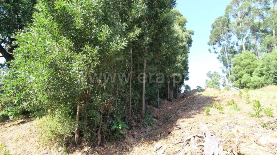 Terreno para Venda em Vilar de Andorinho