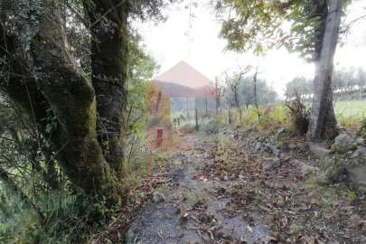 Terreno para Venda em Ribeira do Neiva