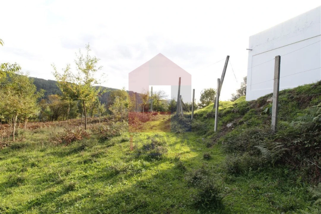 Terreno para Venda em Ribeira do Neiva Foto 5