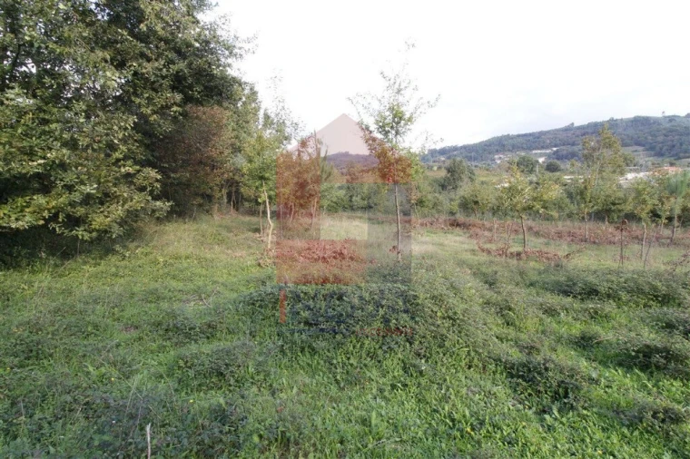 Terreno para Venda em Ribeira do Neiva Foto 2