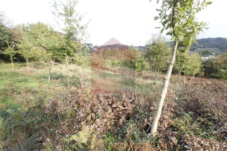 Terreno para Venda em Ribeira do Neiva Foto 4