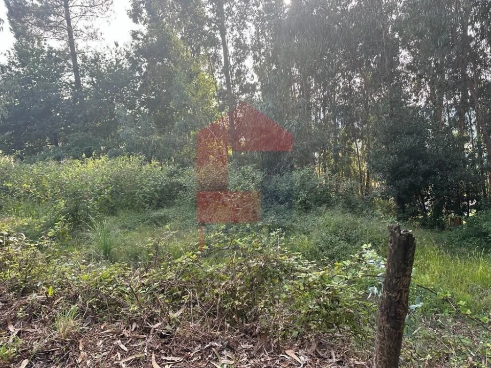 Terreno para Venda em Ribeira do Neiva Foto 9