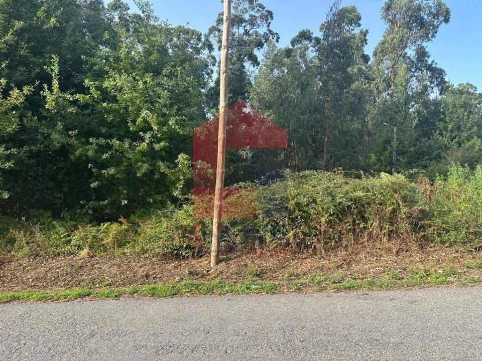 Terreno para Venda em Ribeira do Neiva Foto 2