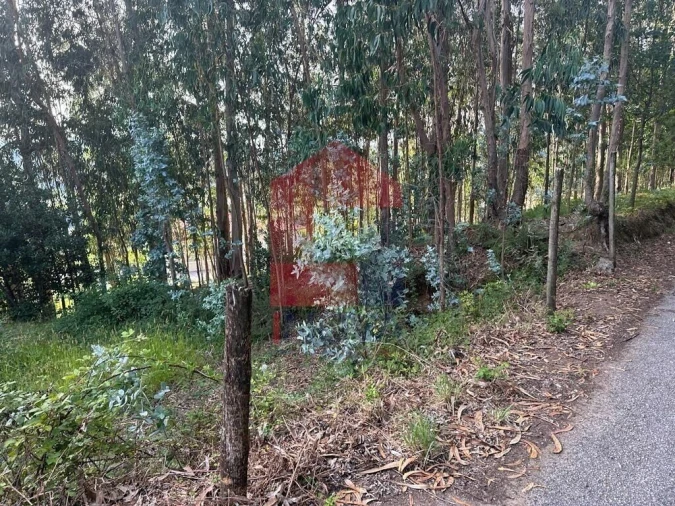 Terreno para Venda em Ribeira do Neiva Foto 11