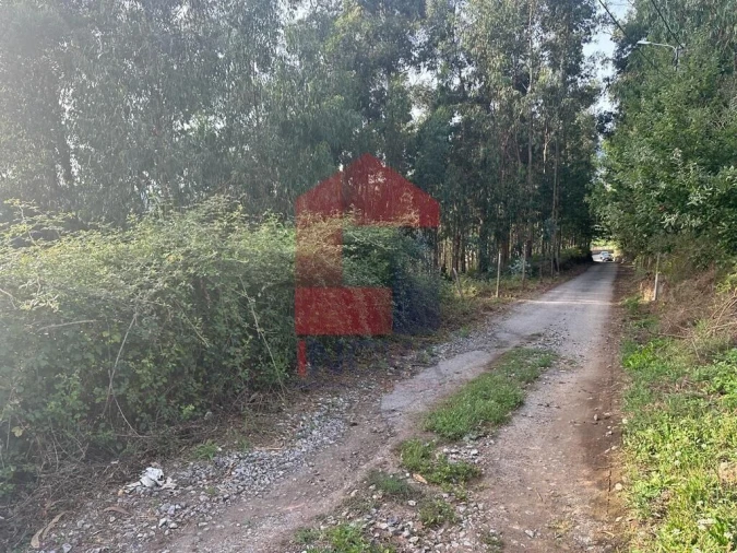 Terreno para Venda em Ribeira do Neiva Foto 6