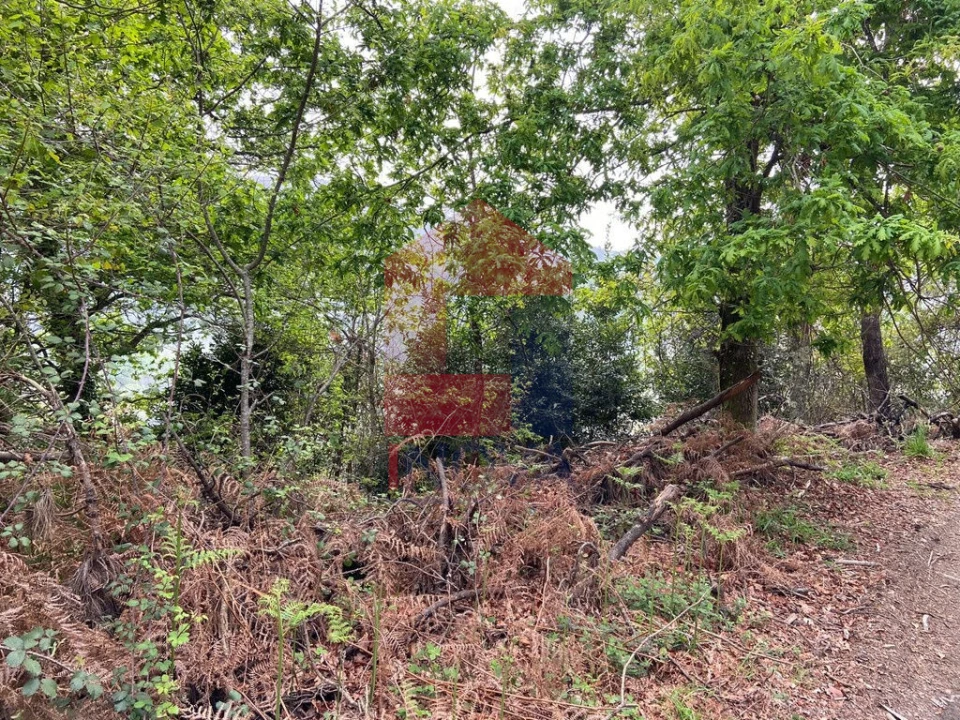 Terreno para Venda em Vade Foto 6