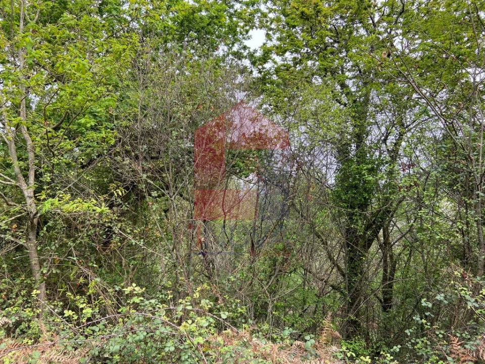 Terreno para Venda em Vade Foto 11