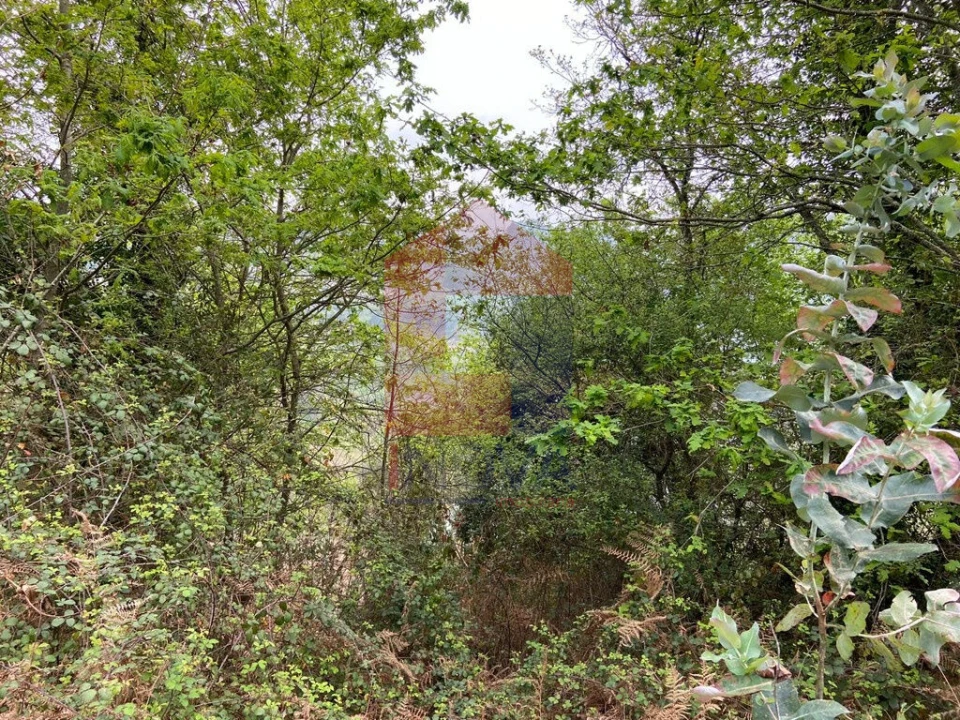 Terreno para Venda em Vade Foto 10