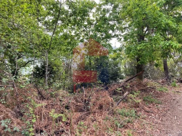 Terreno para Venda em Vade