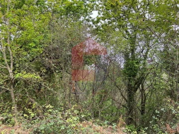 Terreno para Venda em Vade