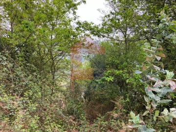 Terreno para Venda em Vade