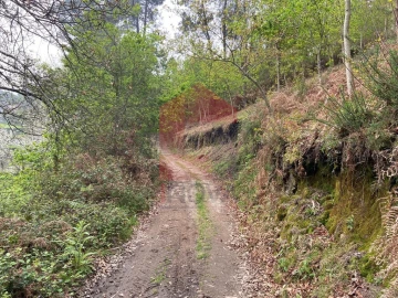 Terreno para Venda em Vade