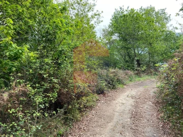 Terreno para Venda em Vade