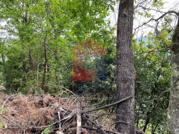 Terreno para Venda em Vade