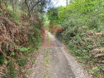 Terreno para Venda em Vade