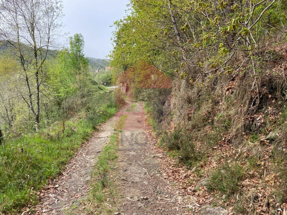 Terreno para Venda em Vade Foto 15