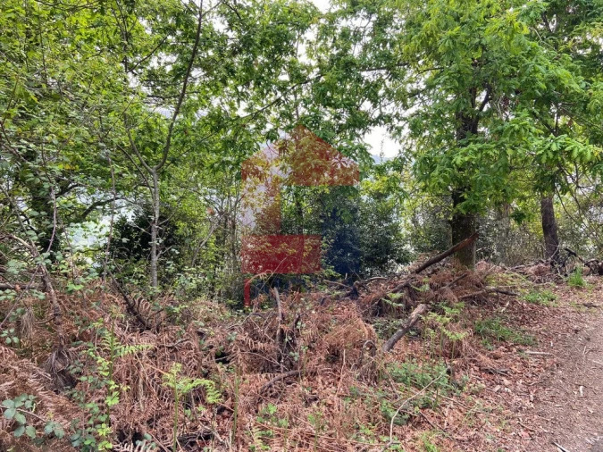 Terreno para Venda em Vade Foto 6