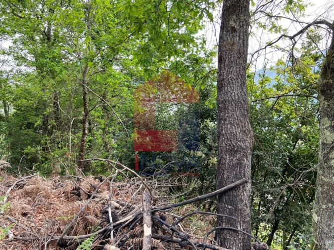 Terreno para Venda em Vade Foto 3