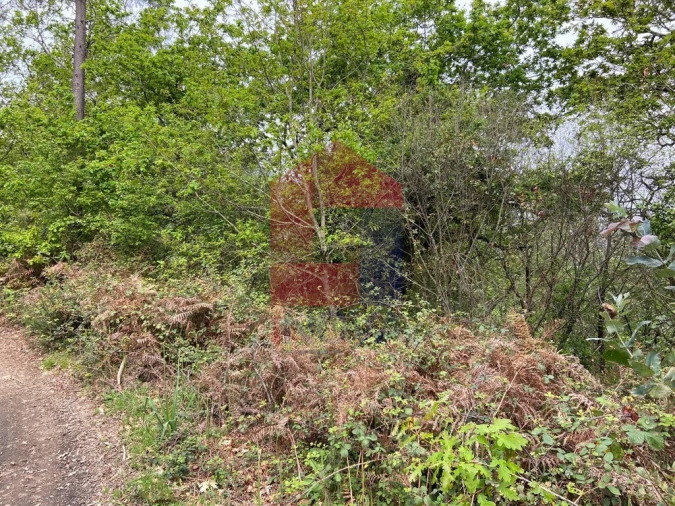 Terreno para Venda em Vade Foto 7