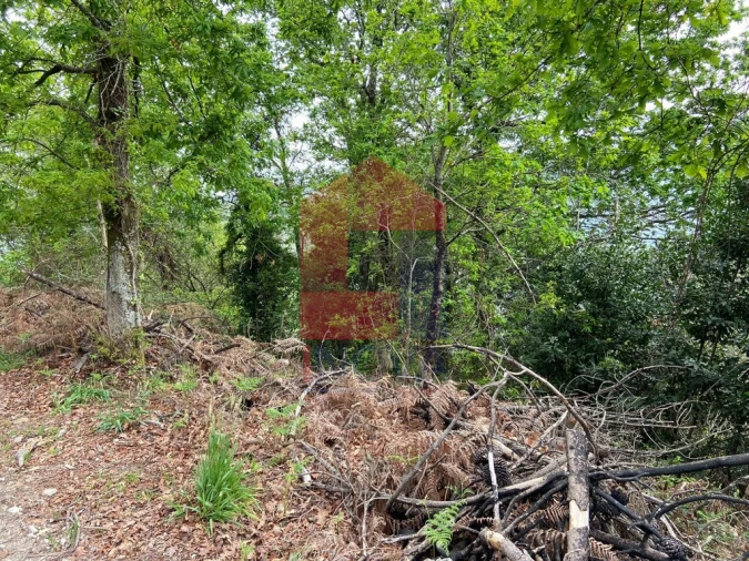 Terreno para Venda em Vade Foto 2