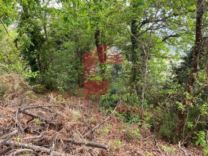 Terreno para Venda em Vade Foto 4