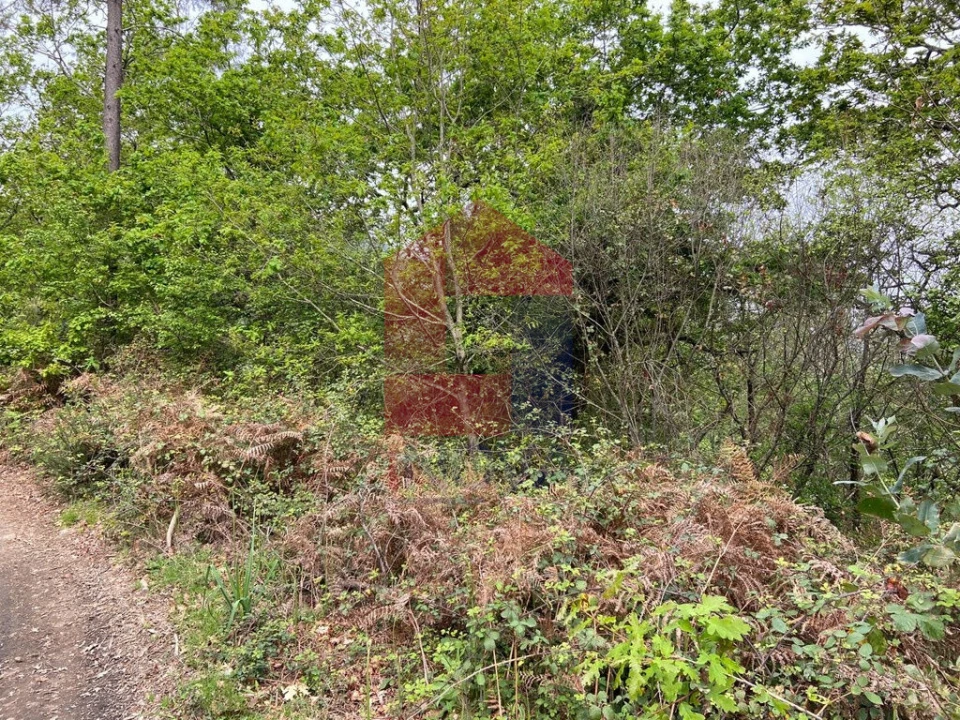 Terreno para Venda em Vade Foto 7