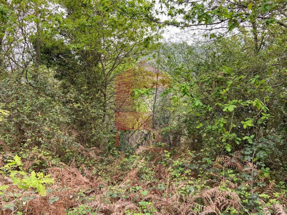 Terreno para Venda em Vade Foto 5