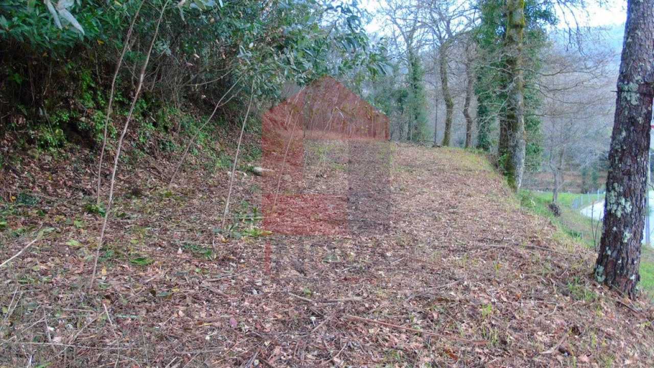 Terreno para Venda em Ribeira do Neiva Foto 3