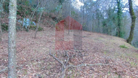 Terreno para Venda em Ribeira do Neiva